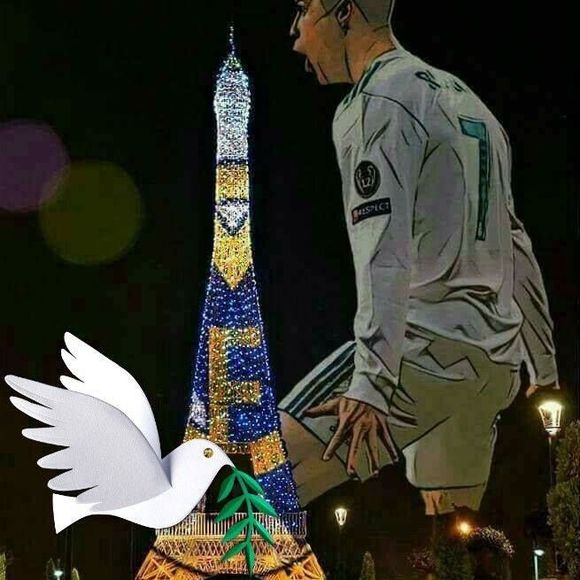 Meet your Posher, Jordi - Picture 1 of 1